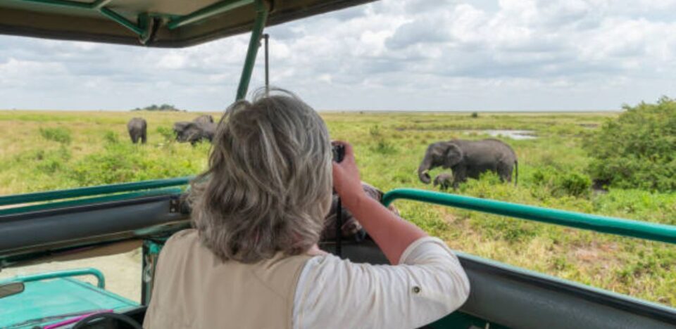 How To Choose the Right Wildlife Photography Trip