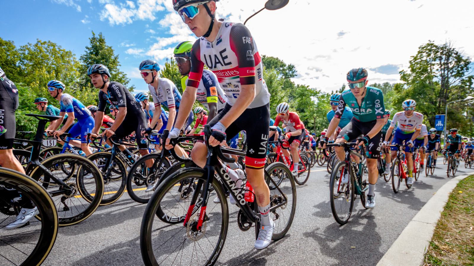 Who Will Win the 2025 Tour de France?