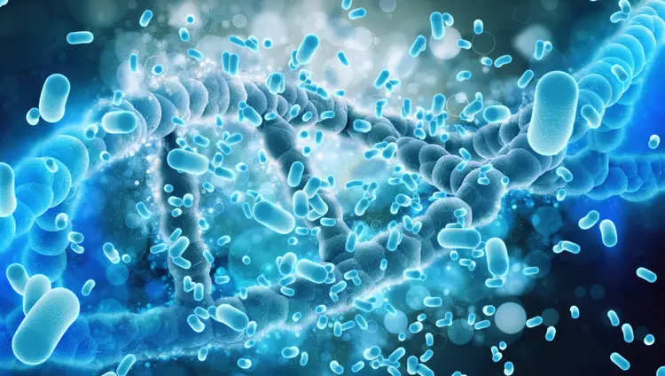 What Precautions Should You Take While Storing Enzyme-Active Proteins