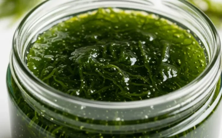 Top Mistakes to Avoid When Buying Premium Raw Sea Moss